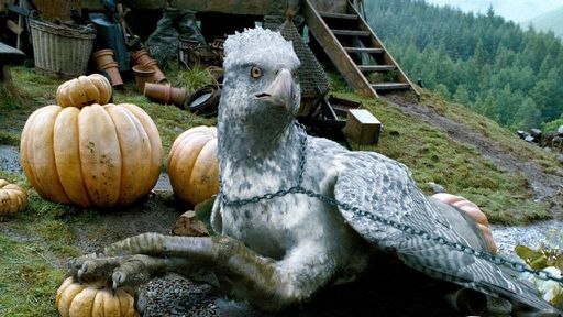 Klofan z Harryho Pottera